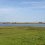 Hoddebuell Nah An Der Nordsee *