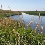 Hoddebuell Nah An Der Nordsee *
