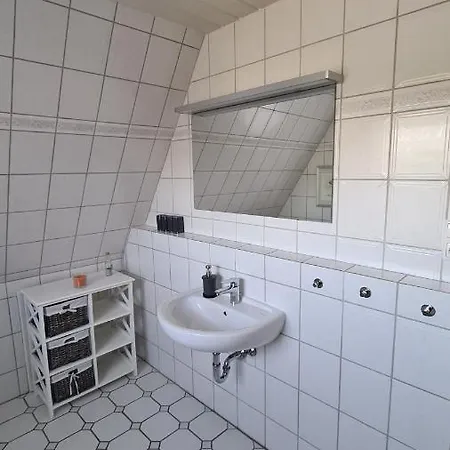 Hoddebuell Nah An Der Nordsee *