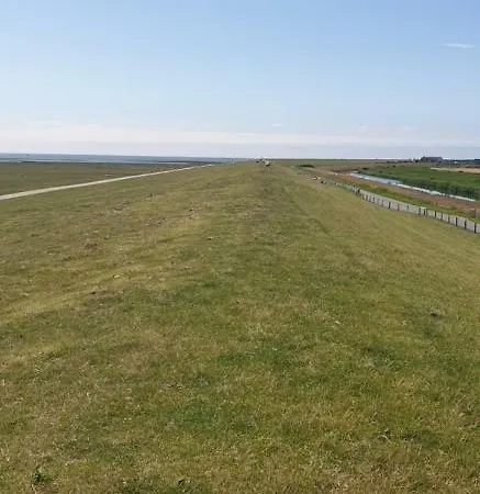 Hoddebuell Nah An Der Nordsee Emmelsbull-Horsbull