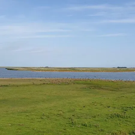 Hoddebuell Nah An Der Nordsee *