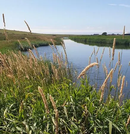 Hoddebüll Nah An Der Nordsee *