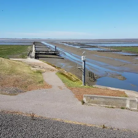 Hoddebuell Nah An Der Nordsee *